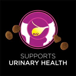 Purina® Pro Plan® Veterinary Diets Cat UR Urinary Treats -Cat Supplies Store 3021690 3021691 ENG INFO