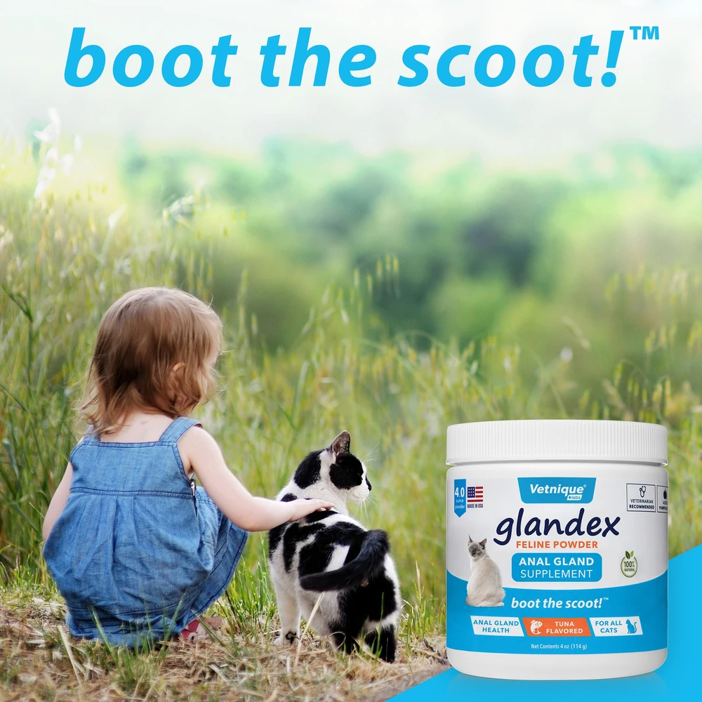 Glandex® Feline Powder Anal Gland Supplement 10 Glandex® Feline Powder Anal Gland Supplement - Image 8