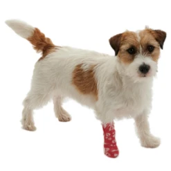 KRUUSE Chew-Stop Bandage 19 KRUUSE Chew-Stop Bandage -Cat Supplies Store 3021721 3021724 ENG PRODUCT