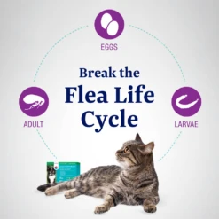 Covetrus® ParaMonthly Plus For Cats -Cat Supplies Store 3022078 3022083 ENG NUTRITION