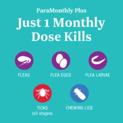 Covetrus® ParaMonthly Plus For Cats -Cat Supplies Store 3022078 3022088 ENG INFO