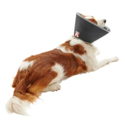 BUSTER Foam Collar For Dogs -Cat Supplies Store 3022116 3022117 ENG LEFT
