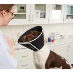 BUSTER Foam Collar For Dogs -Cat Supplies Store 3022116 3022117 ENG NUTRITION