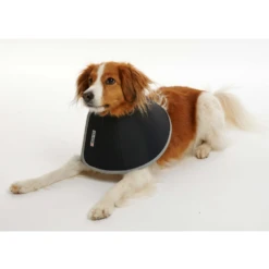 BUSTER Foam Collar For Dogs -Cat Supplies Store 3022116 3022118 ENG INGREDIENTS