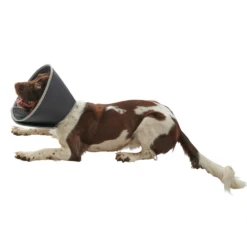 BUSTER Foam Collar For Dogs -Cat Supplies Store 3022116 3022118 ENG RIGHT