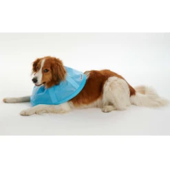 BUSTER Soft Flex Collar For Dogs -Cat Supplies Store 3022124 3022125 ENG INGREDIENTS