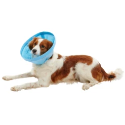 BUSTER Soft Flex Collar For Dogs -Cat Supplies Store 3022124 3022125 ENG NUTRITION