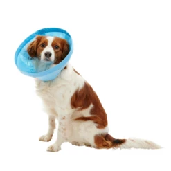 BUSTER Soft Flex Collar For Dogs -Cat Supplies Store 3022124 3022125 ENG RIGHT