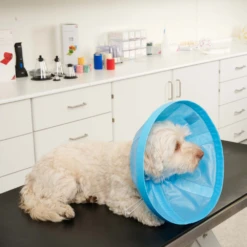 BUSTER Soft Flex Collar For Dogs -Cat Supplies Store 3022124 3022126 ENG LEFT