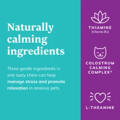 Behavior Chews For Cats And Dogs -Cat Supplies Store 3022157 3022158 ENG INFO