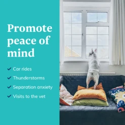 Behavior Chews For Cats And Dogs -Cat Supplies Store 3022157 3022158 ENG INSTRUCTIONS