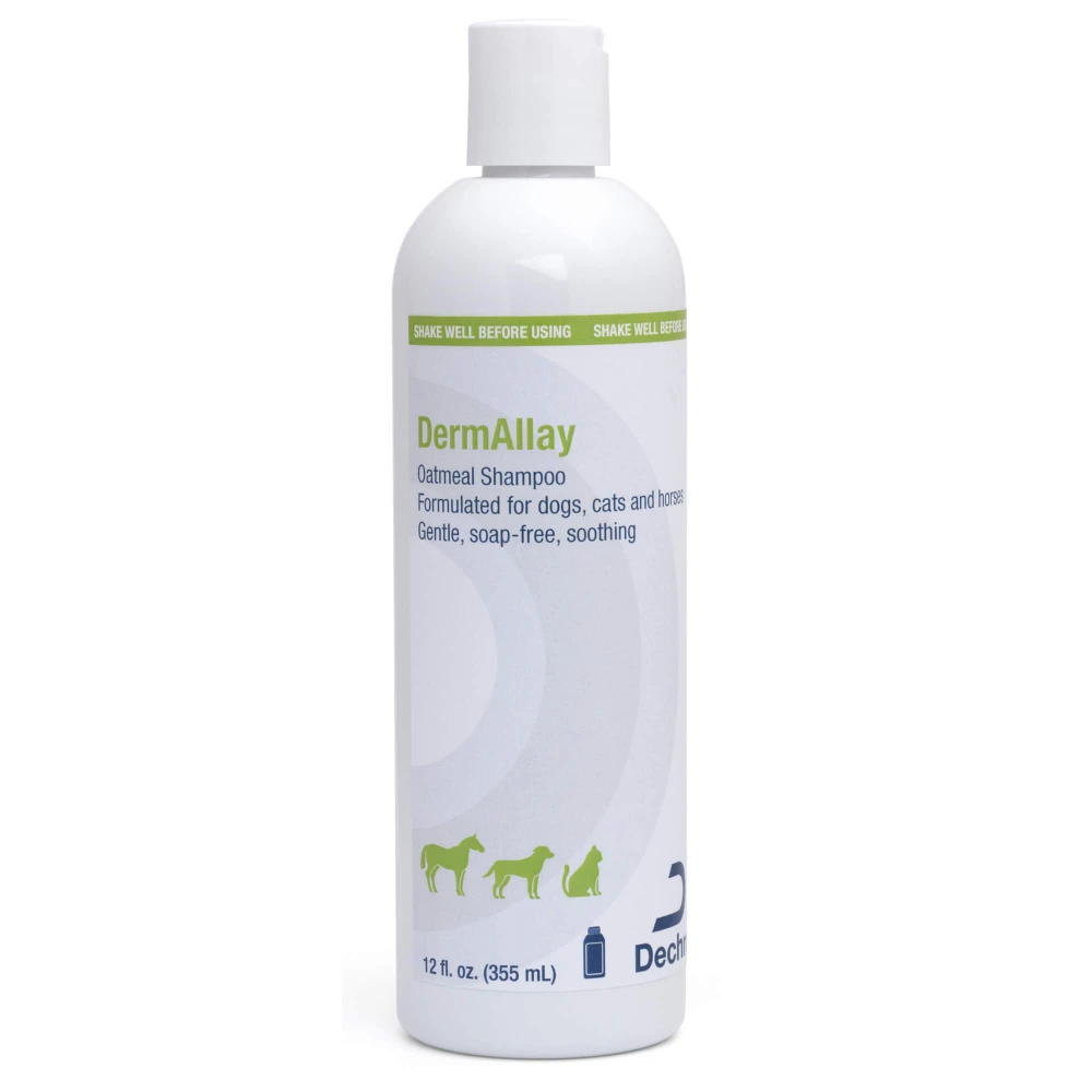DermAllay Oatmeal Shampoo 6 DermAllay Oatmeal Shampoo - Image 4