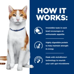 Hill's® Prescription Diet® Cat ONC Care With Chicken Dry 15 Hill's® Prescription Diet® Cat ONC Care With Chicken Dry -Cat Supplies Store 3022331 3022336 ENG LEFT