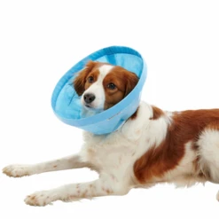 BUSTER Soft Flex Collar For Dogs