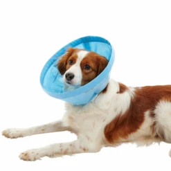 BUSTER Soft Flex Collar For Dogs -Cat Supplies Store 352de663 809e 4816 8ace a03f7869a6bd