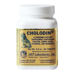 Cholodin® Chewable Tablets
