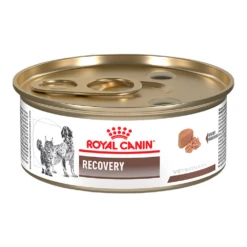 Royal Canin Recovery Can For Dogs And Cats -Cat Supplies Store 4a861c98 3972 4694 89c8 af3c6d975e8c