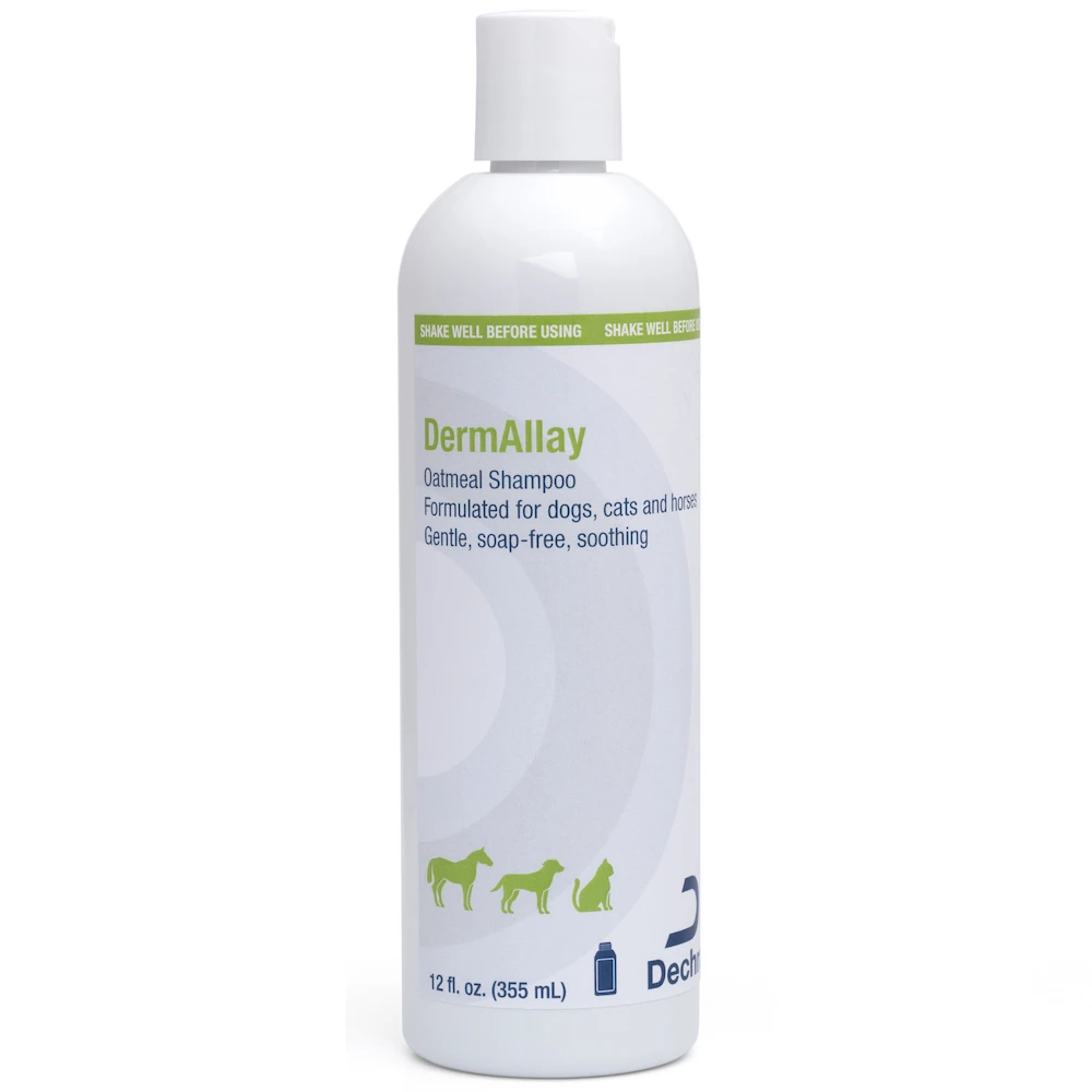 DermAllay Oatmeal Shampoo 5 DermAllay Oatmeal Shampoo - Image 3