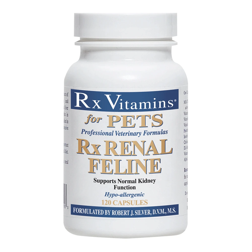 RX Renal Feline Capsules 5 RX Renal Feline Capsules - Image 3