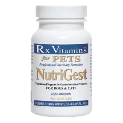 Nutrigest Capsules For Dogs And Cats