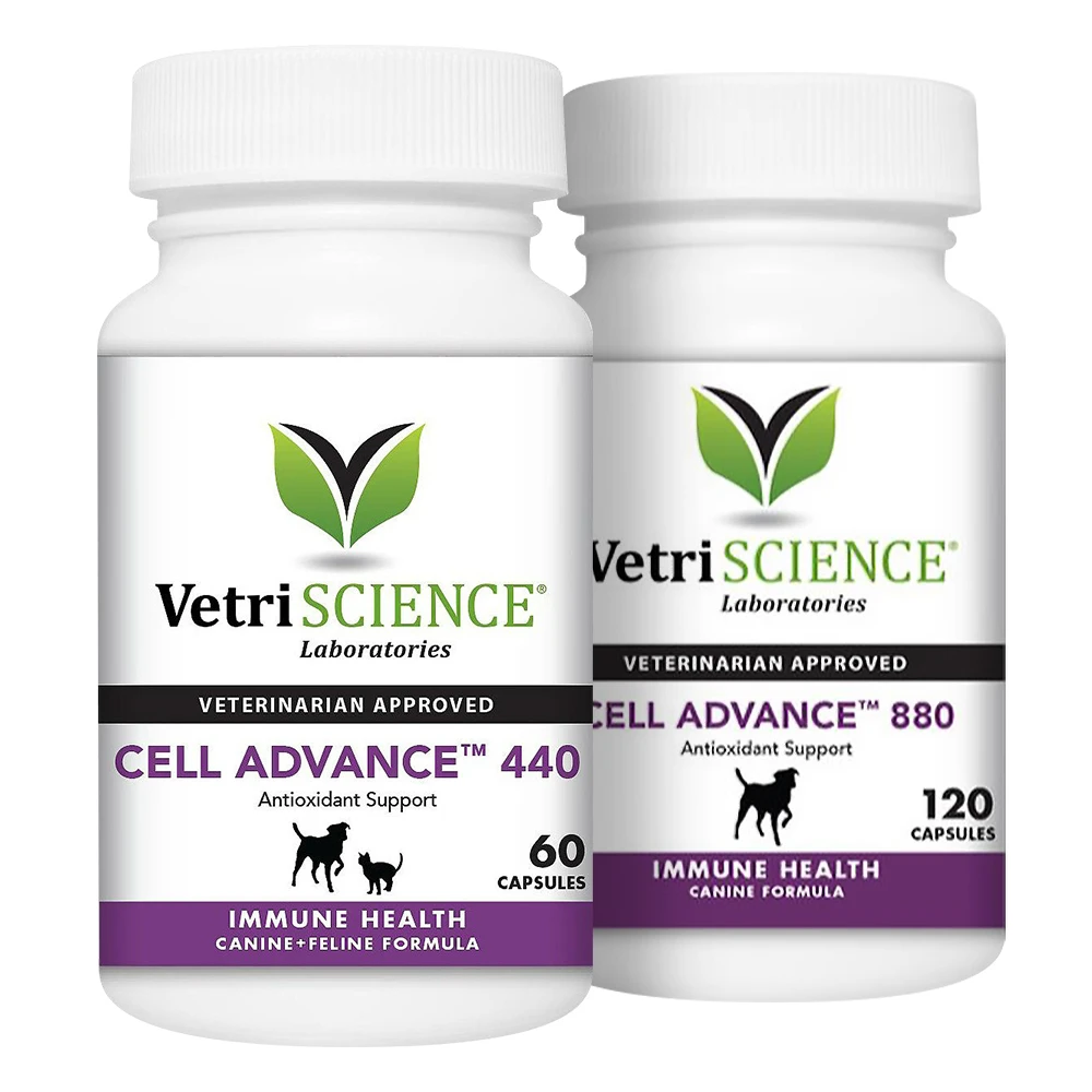 Immune Plus Capsules For Dogs 5 Immune Plus Capsules For Dogs - Image 3