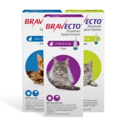 Bravecto® Topical Solution For Cats