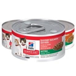 Hill's® Science Diet® Kitten Canned