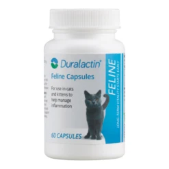 Duralactin® Feline Capsules 7 Duralactin® Feline Capsules -Cat Supplies Store b8769407 e42d 4a01 bd45 b2cacd78399d