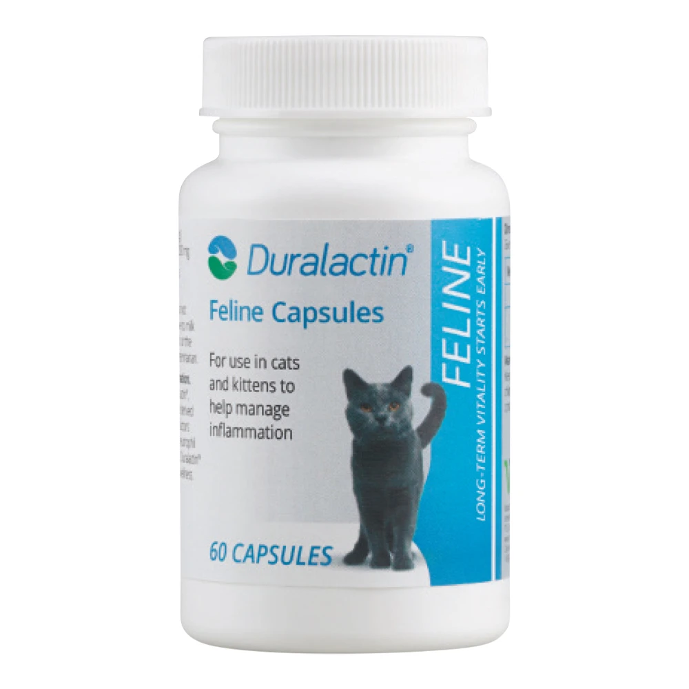 Duralactin® Feline Capsules 5 Duralactin® Feline Capsules - Image 3