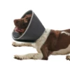 BUSTER Foam Collar For Dogs -Cat Supplies Store e0a8a9b7 a27e 4e0b bf79 f137b08eae42